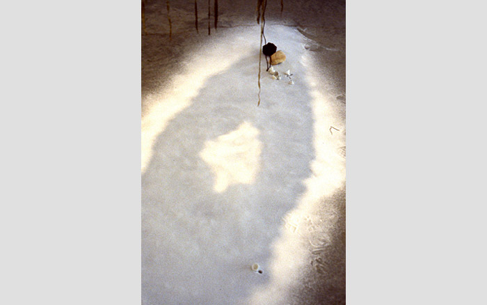 Flotilla #1 | Shadow on salt floor, 2002